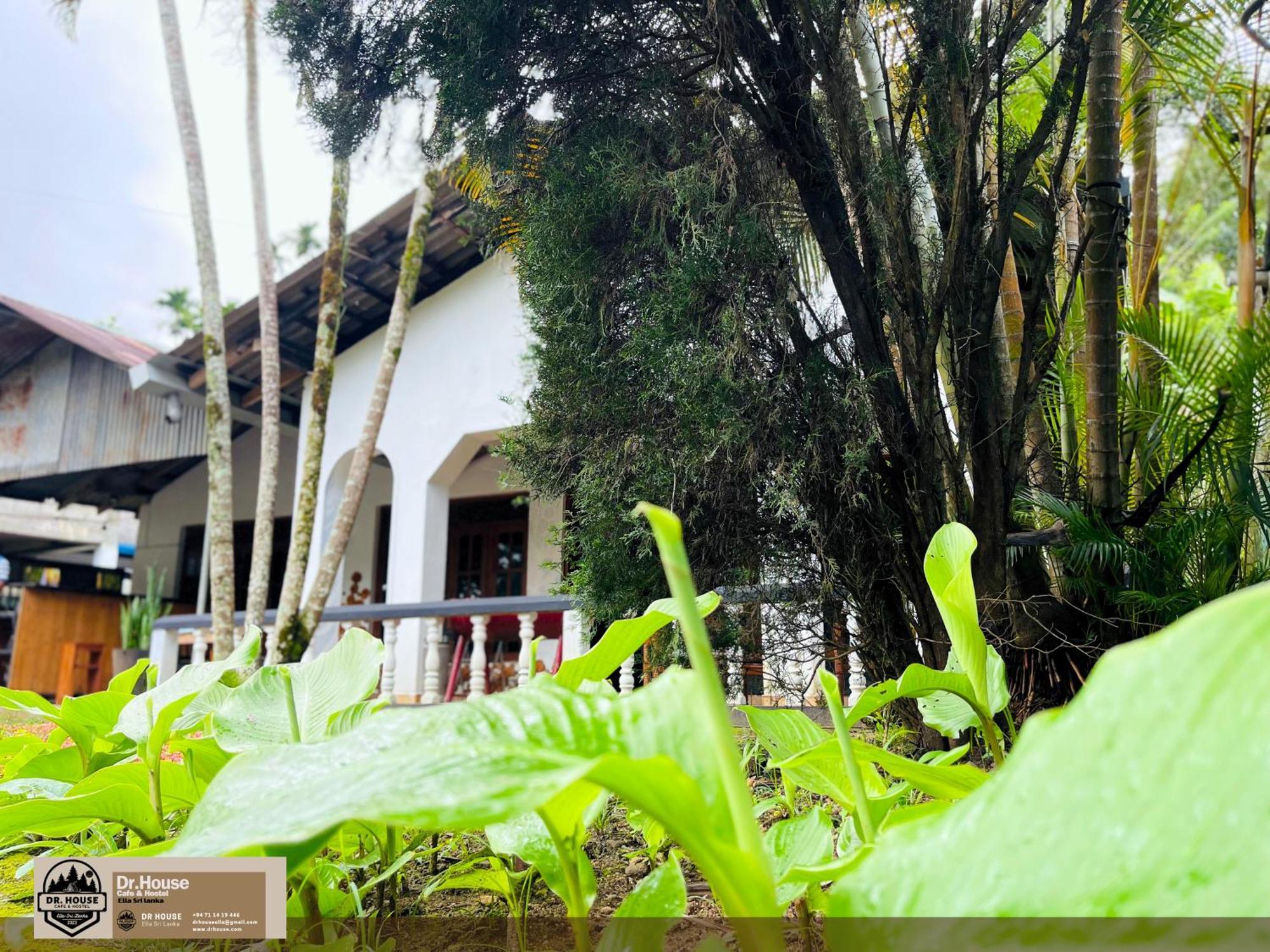 Dr House Ella - Hostel & Cafe المظهر الخارجي الصورة